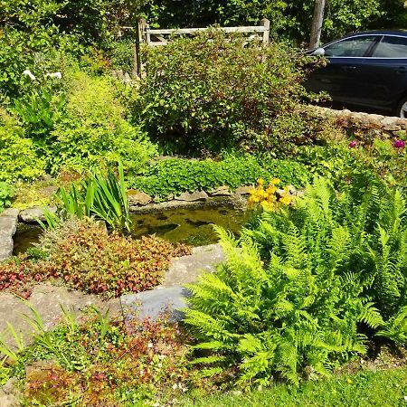 Tabor House B&B Fishguard Esterno foto