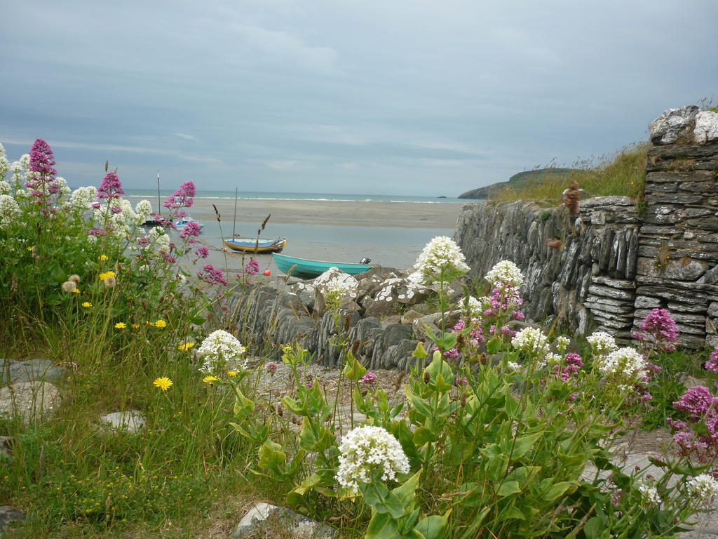 Tabor House B&B Fishguard Esterno foto