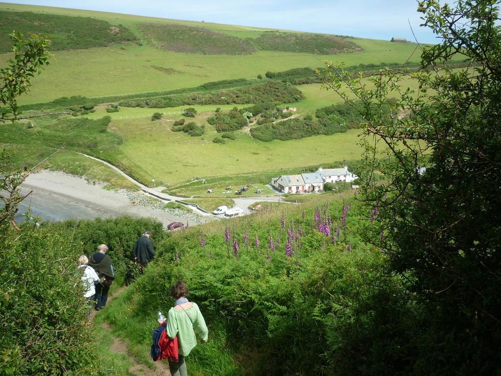 Tabor House B&B Fishguard Esterno foto