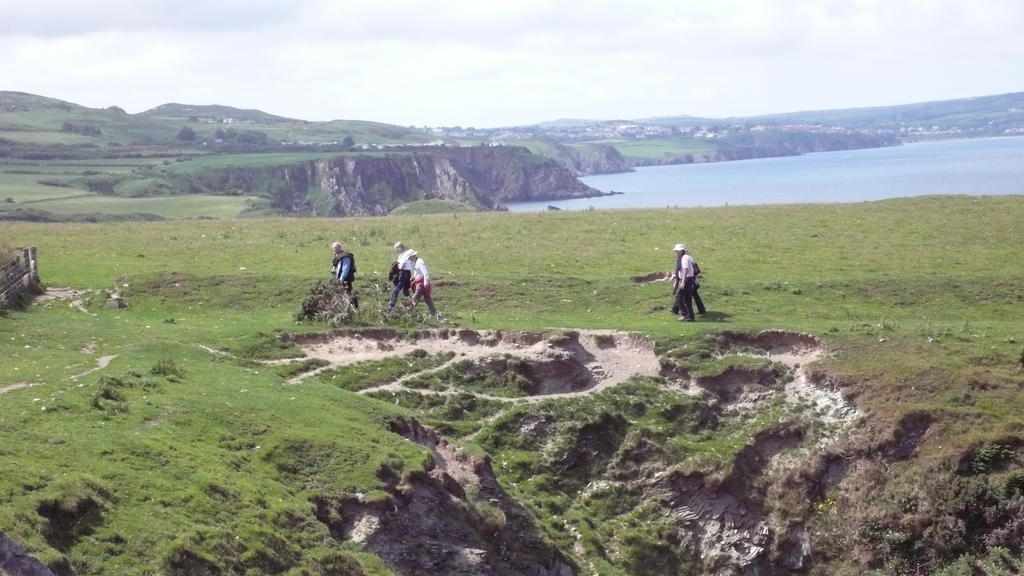 Tabor House B&B Fishguard Esterno foto
