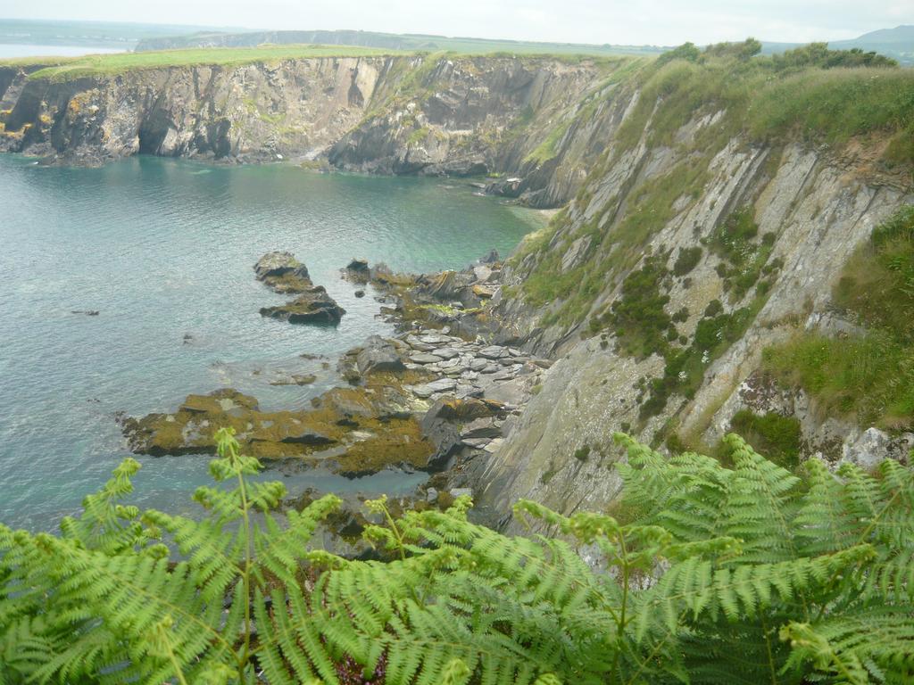 Tabor House B&B Fishguard Esterno foto