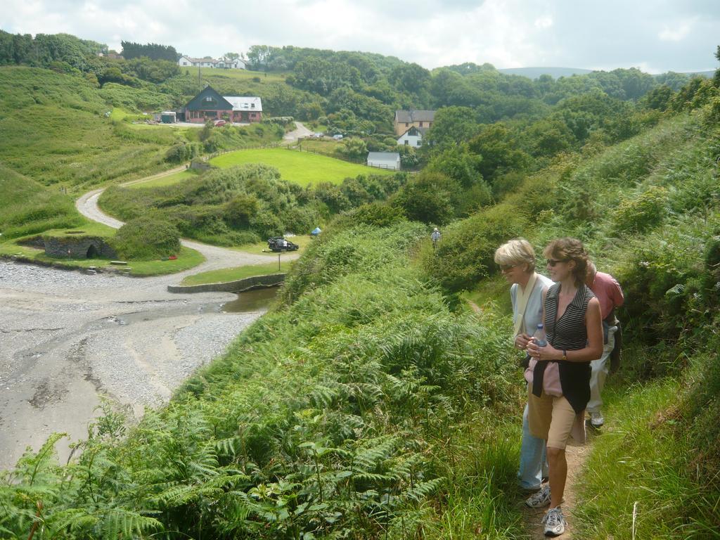 Tabor House B&B Fishguard Esterno foto