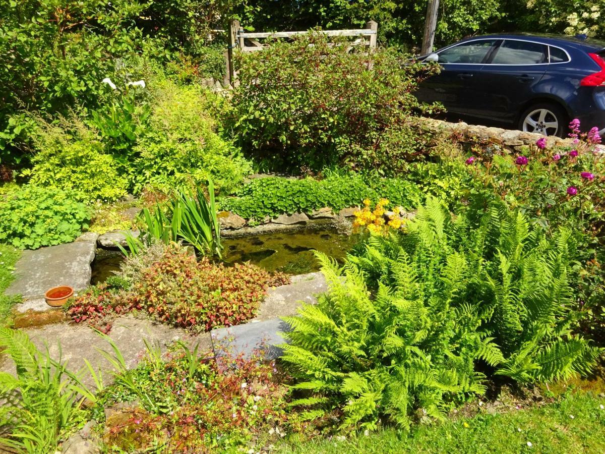 Tabor House B&B Fishguard Esterno foto
